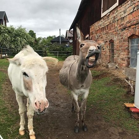 Stuga Asnagard Torsby Kültér fotó