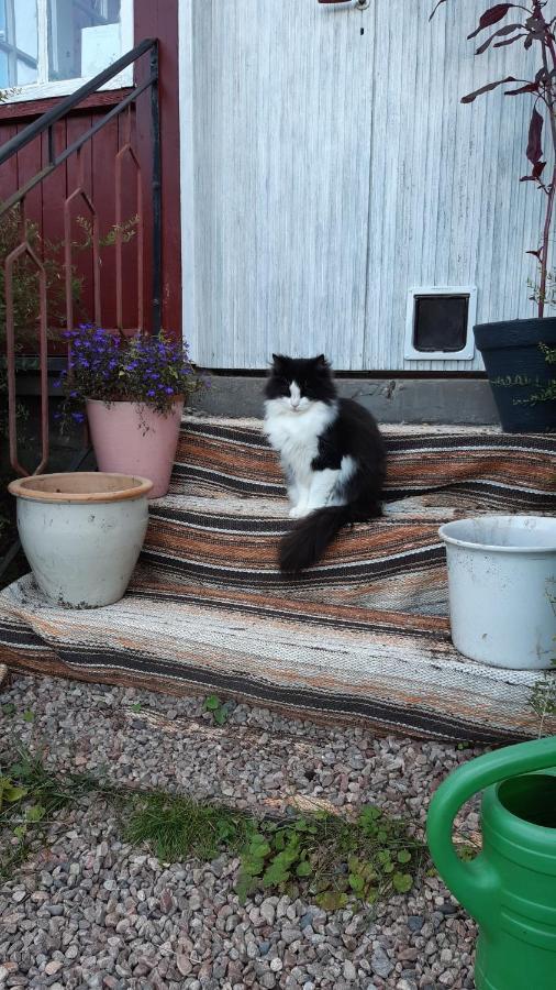 Stuga Asnagard Torsby Kültér fotó