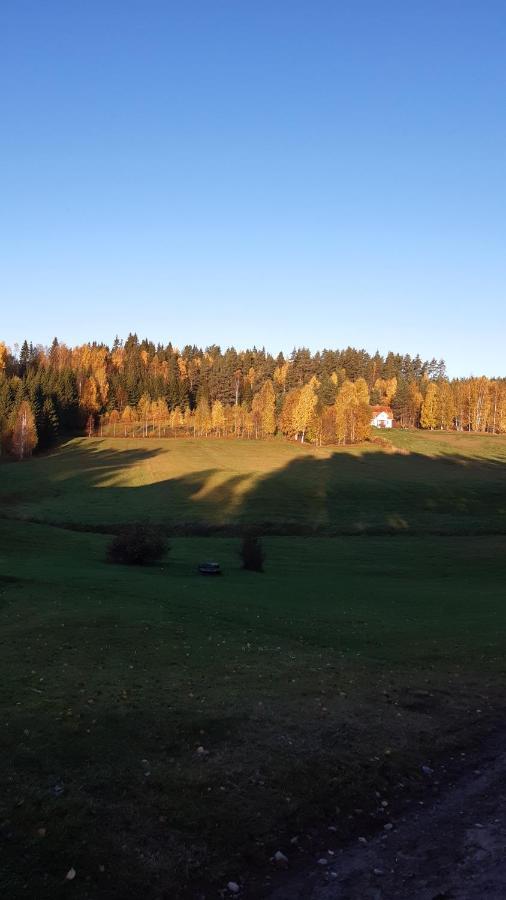 Stuga Asnagard Torsby Kültér fotó