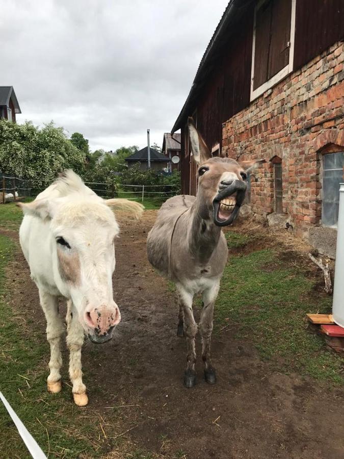Stuga Asnagard Torsby Kültér fotó